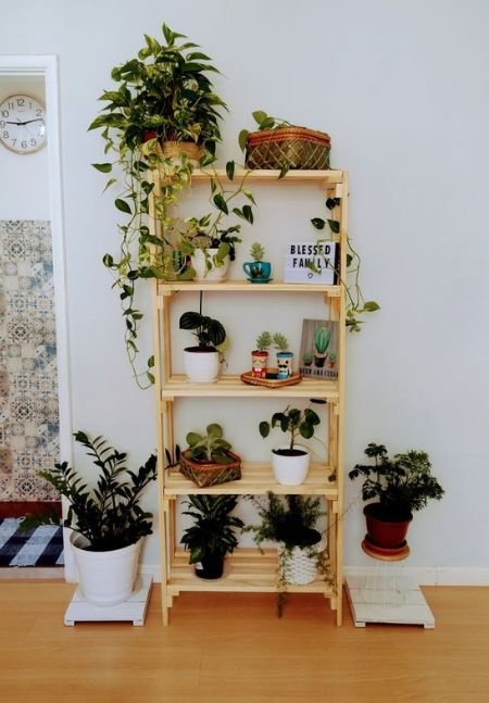 Decoração para apartamento pequeno - Uso de plantas